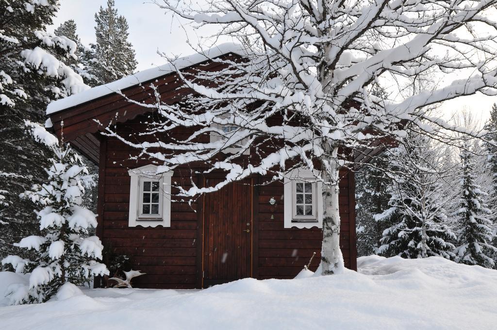 Cottage On Wild River In Lapland/Sweden Karlsten Værelse billede